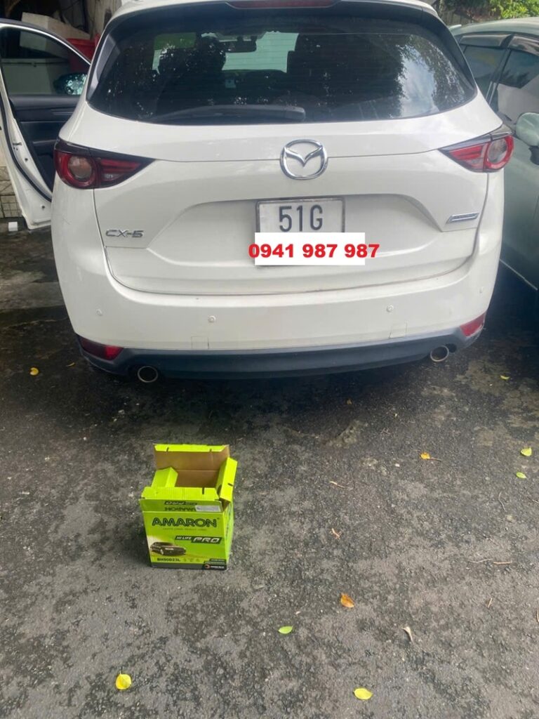Ắc quy Amaron HCM