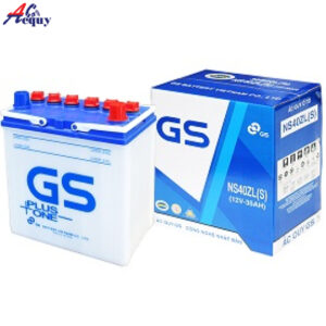 ẮC QUY GS NS40ZLS